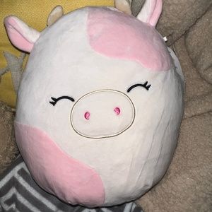 Caedyn Squishmallow!